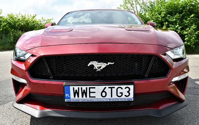 Ford Mustang cena 163221 przebieg: 11000, rok produkcji 2019 z Podkowa Leśna małe 497